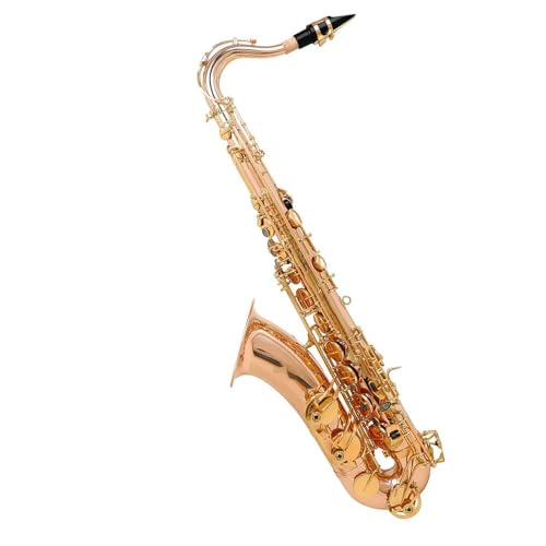 S҃TbNX ^Jei[TbNXyvtFbViBbTbNXAN[jONXAO[uA[hobNA}EXs[XANZT[t(Red antique)