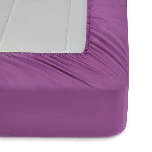 Image of Amazon Basics 7-Piece Microfiber Kid's Comforter Bed-in-a-Bag Bedding Set with Sheets, Full /Queen, Bluish Flowers