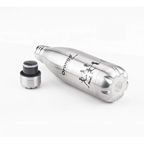 Image of Orange HOT and Cold Acqua Stainless Steel /THERMOSTEEL Bottle for Kids and Offices