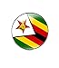 vmcoatdu Round 1 Inch Zimbabwe Flag Pin International Travel Brooch Metal and Glass Revivalism Style Souvenir Badge for Hat Clothes Backpack