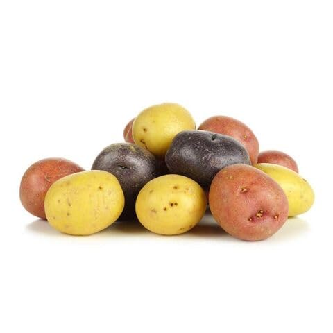 100pcs Mixed Potato Vegetable Seeds Fast Growing Suitable for Indoor & Outdoor Gardens
