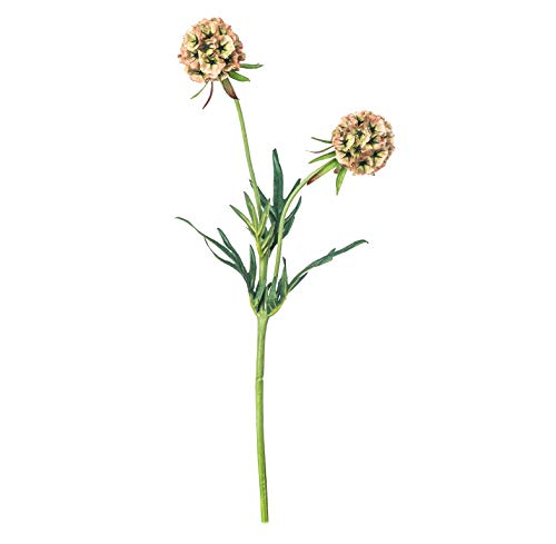 EUROCINSA Ref.43300C54 2-FLOWER SCABIOSA GREEN Box of 12pcs, 56cm