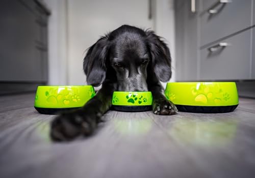 Hundenapf für Kleine und Große Hunde - Futternapf/Trinknapf S/M/L Rutschfest (M 1010ml für Mittlere Hunde, Hellgrün)