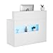 VEVOR Reception Desk, 47 Inch Rectangular Front Counter Table, Office Reception Desk with LED Light, 2 Drawers and Power Outlets, for Checkout, Lobby, Beauty Salon and Office, White