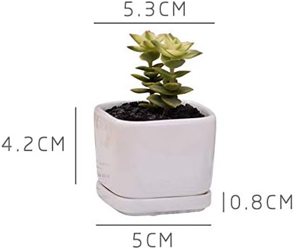 Miniatura 3 de Juego de 6 mini macetas cuadradas de cerámica blanca minimalista de 2 x 2 x 1.65 pulgadas con platillo (6, 2 pulgadas)
