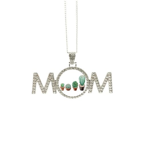 Cadeau de fête des mères pour maman : collier cactus et succulentes en pot