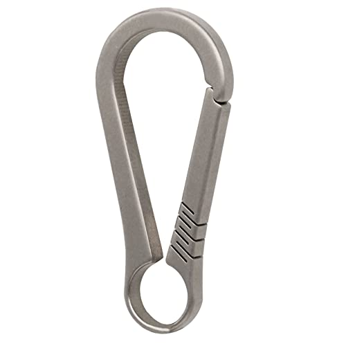 PJYTAC Key Clip Small Carabiner Keychain Heavy Duty Key Holder 2 Inch Secure Key Chain Clips Gifts for Men and Women