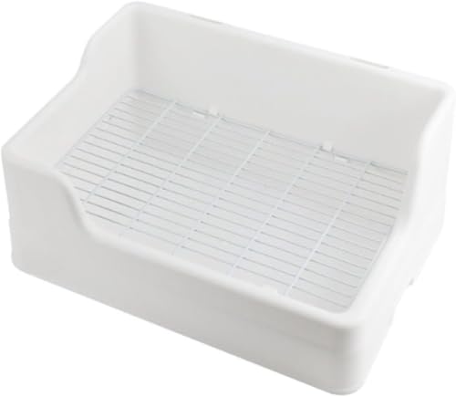 KyokuiETMgCP[WgCpilpgC^|pi|₷gCM