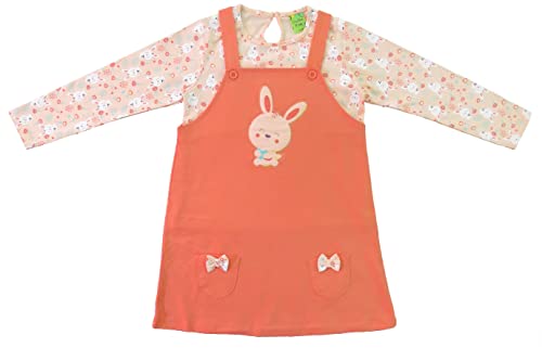 Image of Clothe Funn New Born Baby Girl Dress Knee Length