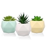 cubetas de plastico ikea 🌵 [2 SETS DISPONIBLES] En LIMA SHOP ofrecemos la posibilidad de elegir la mejor opción para su decoración. Set de 3 macetas blancas o set de 3 macetas de colores (blanco, amarillo y azul). Perfectas para exhibir en la mesa, escritorio de oficina, mesita de noche, estantería, cocina, jardín o cualquier otro rincón que necesite decoración.