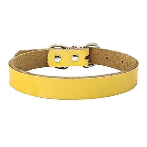 Quality Leather Adjustable Dog Collar - Yellow (Medium)