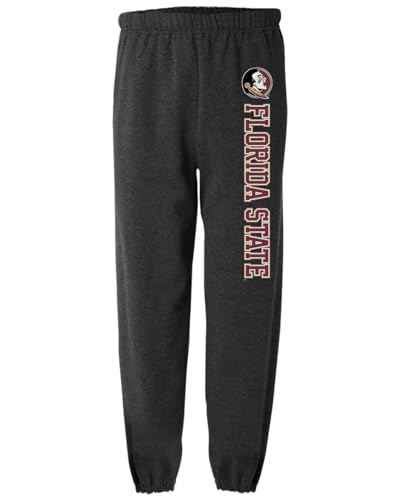 Florida State University Vertical Men's Jogger Sweatpants, Charcoal, 2XL