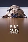 Pug Weekly Planner: 2019: Pug dog: Notebook and Organizer