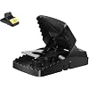 Small-Mouse Trap-2 Pack