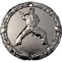 Express Medals Martial Arts Medal Silver 2" with Red White & Blue Neck Ribbon Award Trophy