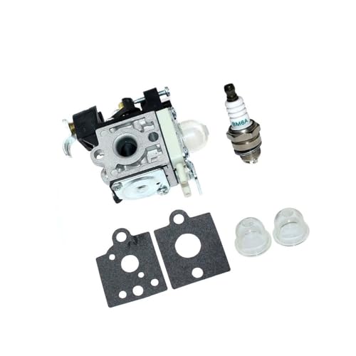 Carburateur pour PB-265L et ES-255 remplace A021001593 RB-K85