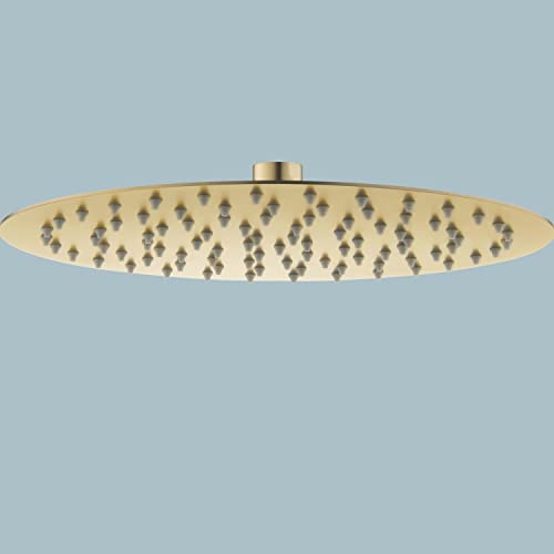 Pommeau de douche en acier inoxydable 304 30 cm Cover