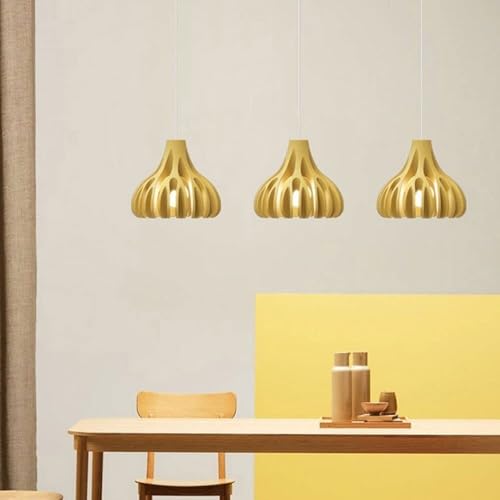 Lámpara colgante moderna de hierro para iluminación decorativa de techos 5