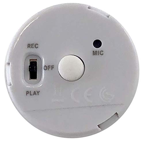 Voice Express Voice Recorder for Dolls, Pillows, Plush and More