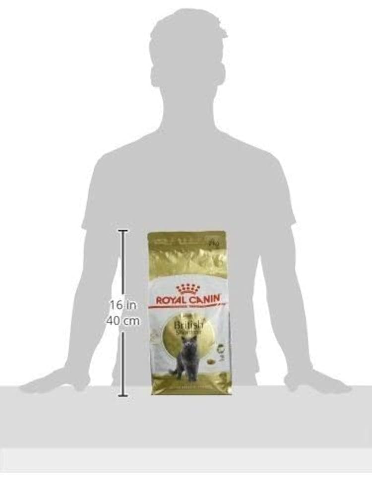 Amazon | ロイヤルカナン FBN ブリティッシュショートヘアー 成