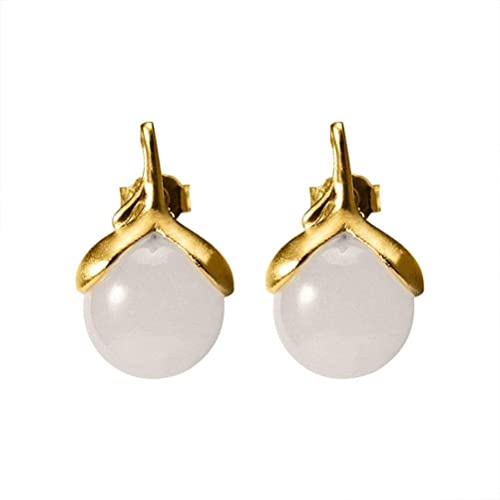 X^C Vo[ Vv ۊ׍HŐ  [t Eh r[Y Ő CO (F: qXC CO)