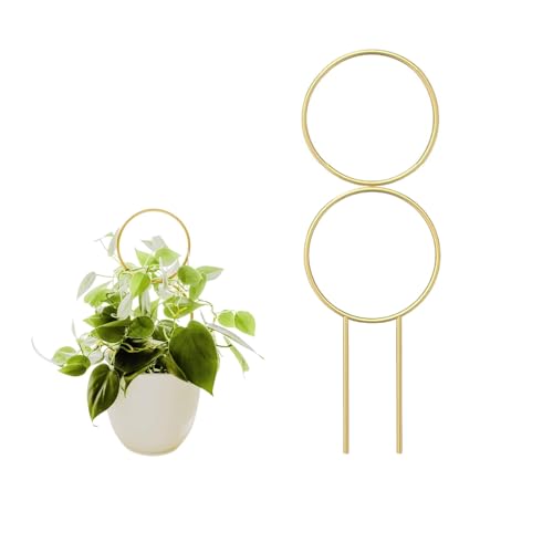 プラントサポート 植物支柱 観葉植物 ツル植物 支柱 アイアン製 ゴールド おしゃれ 北欧風 室内用 鉢植え インテリア グリーン雑貨 モダン 園芸用品 スタイリッシュ かわいい 鉢 支え リーフサポート ガーデニング【NABI STYLE】 (ダブルリン