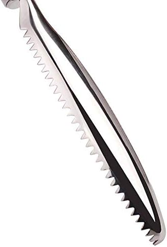 Fish Scale Removerhomeey 304 Stainless Steel Fish Scale Scraper, Ergonomic Handle Design for Fast Scales Peeling