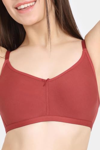 Image of Zivame Women T-Shirt Bra