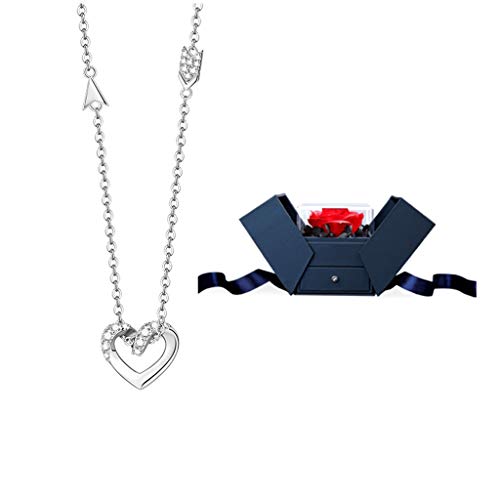 Collier chaîne de clavicule hypoallergénique en argent 925 pour femme