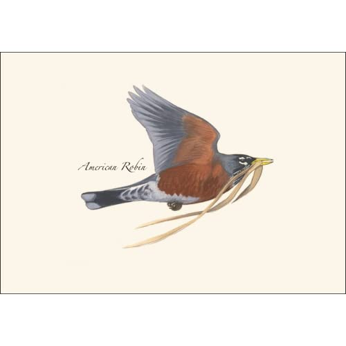 Image of Earth Sky + Water - Robin in Flight Notecard Set - 8 Blank Cards with Envelopes