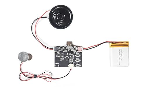 MP3 Soundmodul mit Magnetschalter, 3 Wiedergabeoptionen (Nicht Loop, Loop und Zufall), 128 MB Speicher, wiederaufladbarem Akku, DIY MP3-Player