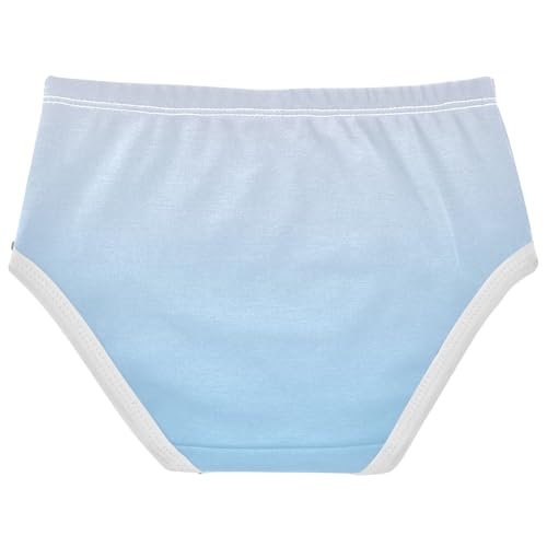 Joisal Sky Blue Gradient Toddler Underwear Floral 2t Cotton Panties Little Girl Cartoon Briefs Undies Kids2