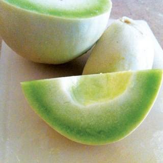 Dulce Nectar Melon Honeydew Seeds, Great for Any Climate, Pack of 25 Seeds