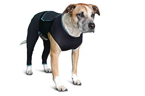 Image of BENEFAB Therapeutic Comfort Suit for Dogs - Lightweight Far-Infrared Jacket for Canines of All Ages - Relaxing FIR Compression Suit Soothes Muscles, Joints, and Pain (X-Small)