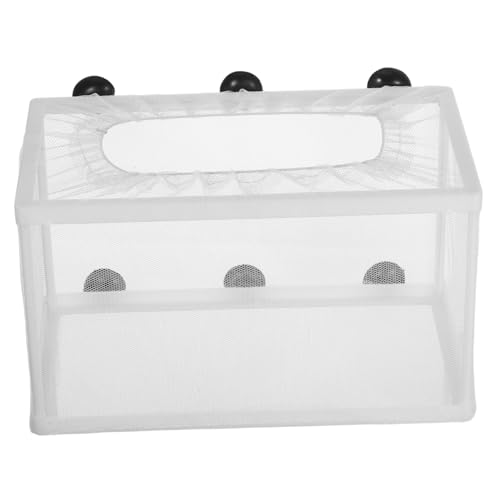 KALLORY ^lbg zՕtzp |GXebVp tu V[Ή