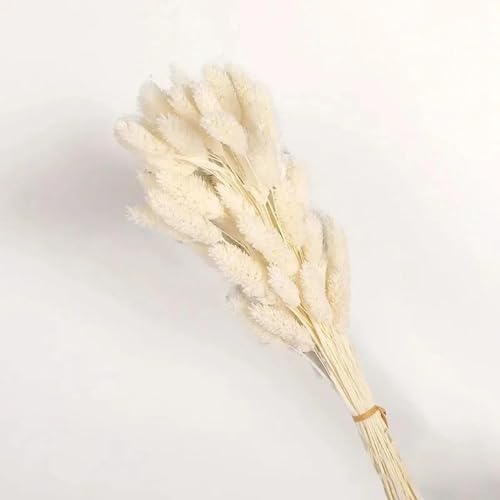Ramo de Flores Secas Artificiales 50 Pzas Blanco miniatura 5