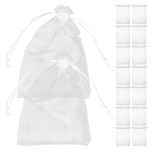 GOOHOCHY 100 I[KW[В bVf [WG[LfB[p xr[V[ap[eB[ obO