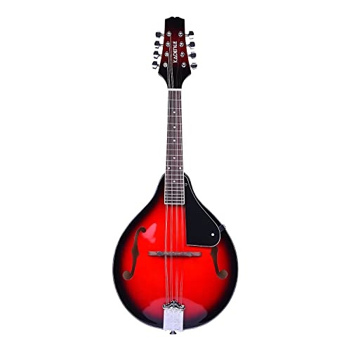 Amazon.in Bestsellers The most popular items in Mandolins
