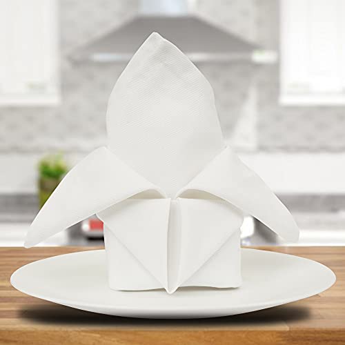 Sweet Needle Tomato Red & White Cloth Napkins 20X20 Pack Of 24, 100% Cotton Oversized Heavy Weight Dinner Napkin For Home/Wedding/Party/Cocktail Napkins/Hotel/Restaurant/Banquet/Bar/Gift/Daily Use #TOP6