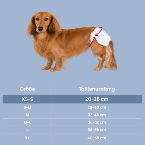 TRIXIE Hundewindeln für Hündinnen Gr. XS–S, 12 St., 20–28 cm Taillenumfang