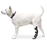 Walkin' Pet Splint for Dog, Canine Rear Leg