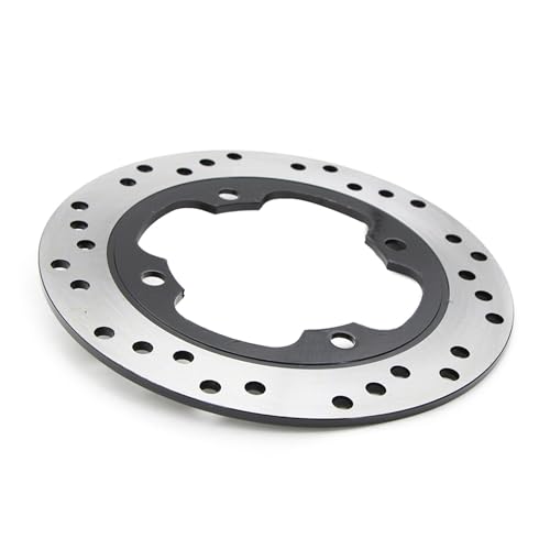 Disque frein arrière moto pour résoudre les vibrations sur Daytona