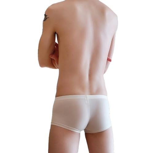 Faringoto Calzoncillos sin costuras para hombre, de seda de hielo, ultra delgados, transpirables, sexis, con bolsa convexa en U, calzoncillos tipo bóxer, Piel, Small