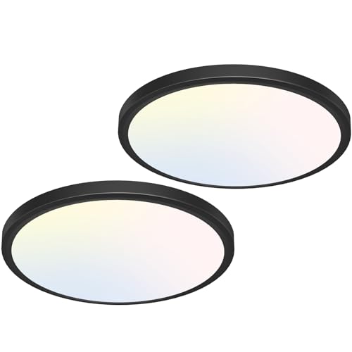 Image of libtit 12 inch Flush Mount LED Ceiling Light Fixture, 3000K 4000K 6500K Adjustable, 28W 3200lm Black Round Lighting Fixtures for Bathroom Shower Hallway Kitchen, 2 Pack