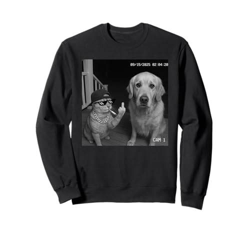 Funny Cat Flipping Off Middle Finger On Security Camera �g���[�i�[