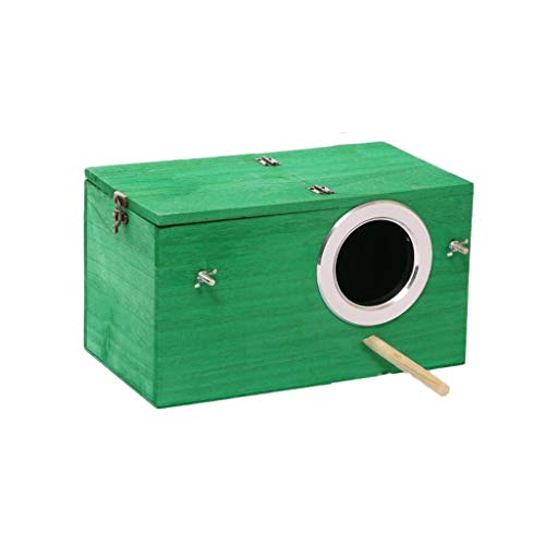 Nichoir en bois naturel vert pour observer les oiseaux au printemps dans le jardin