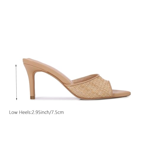Image of Women Clear Pointed Toe Sandals Stiletto Heels Transparent Strap High Heels Slip on Mules for Women
