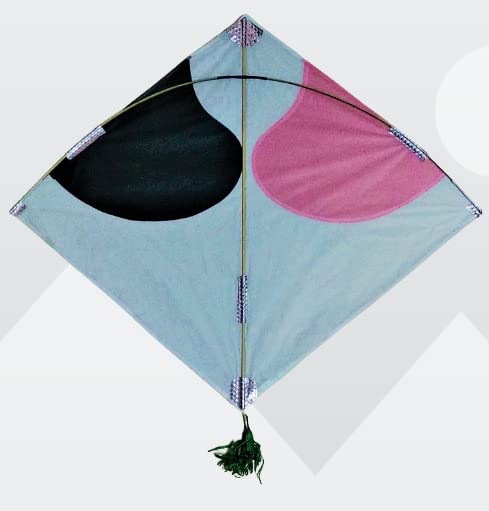 See full amazon price history chart for Rang Patang Cheel Kite, Black (Set of 20) Rang Patang Cheel Kite, Black (Set of 20) (B019WMDWBK) Amazon Price History, Amazon Price Tracker