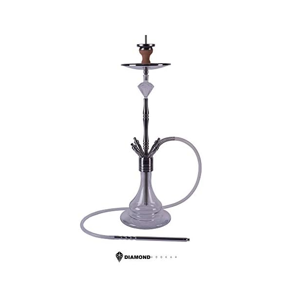 DIAMOND HOOKAH Premium Rubin Shisha Set, Wasserpfeife Shisha Edelstahl Komplettset mit 4 Anschlüsse/Schläuche. 18/8…