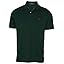 Green (Green Pine) Green (Green Pine)